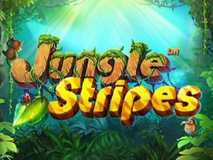 Play Jungle Stripes with Crypto in Online Bitcoin Casino